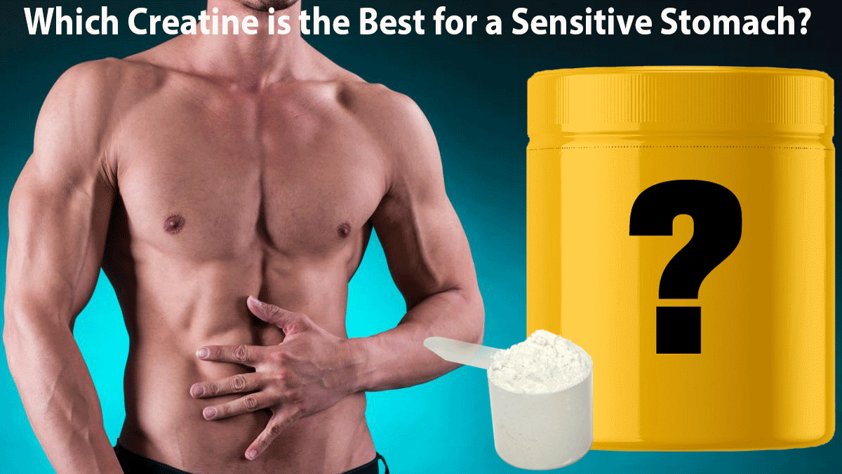 How to find the best creatine that is stomach-friendly & gentle? - Can You Take Creatine On A Empty Stomach